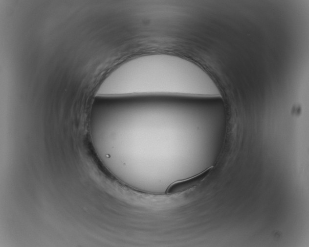 X0000110860031200906180956