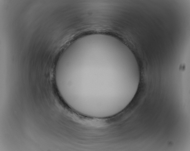 X0000110860032200906180956