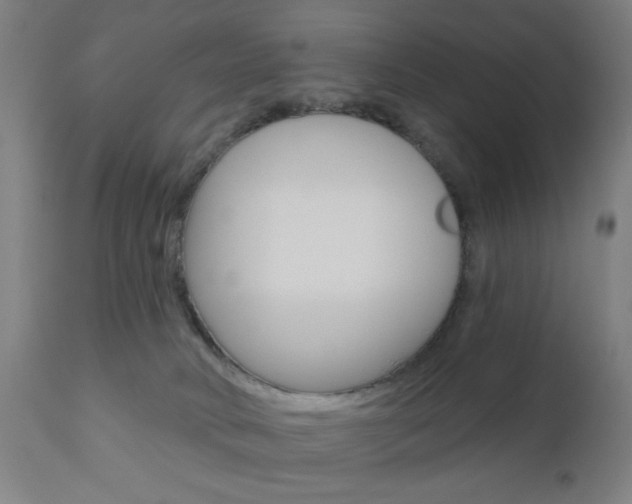 X0000110860034200906180956