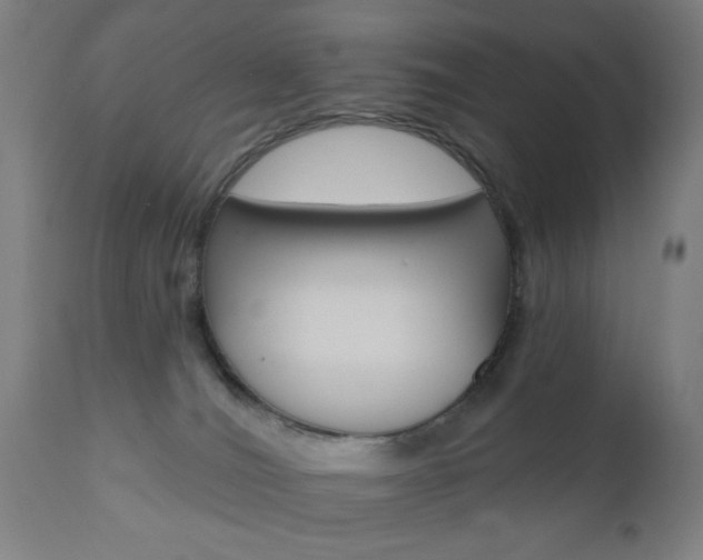 X0000110860036200906180956