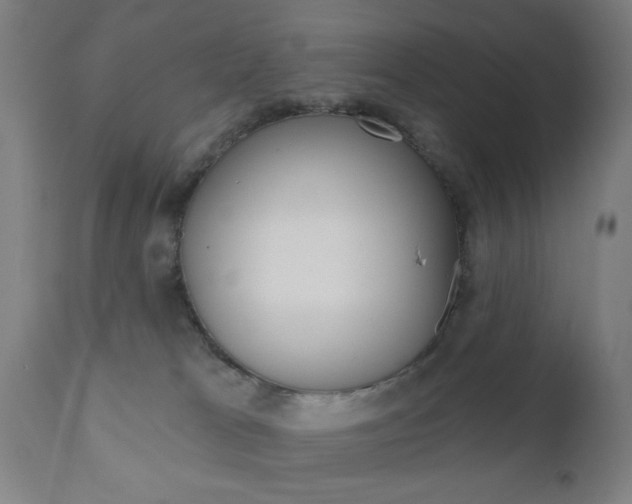X0000110860037200906180956