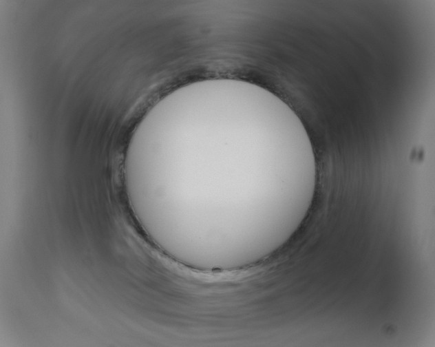 X0000110860038200906180956