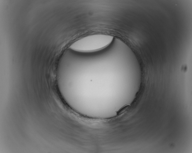 X0000110860040200906180956
