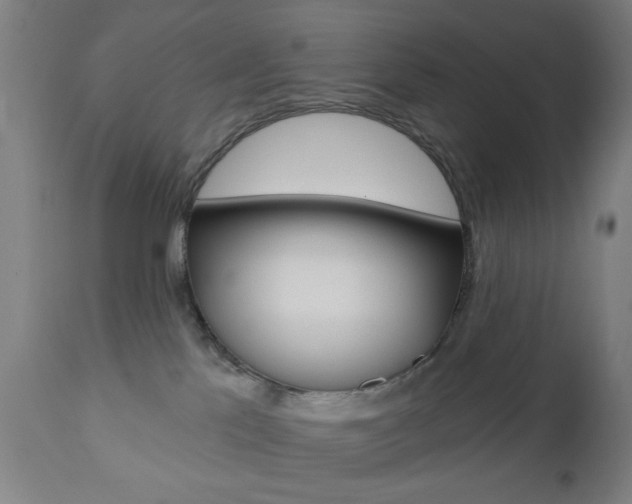 X0000110860041200906180956