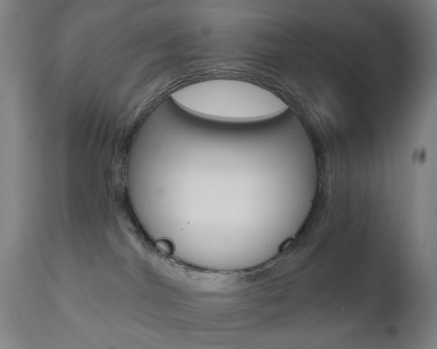 X0000110860044200906180955
