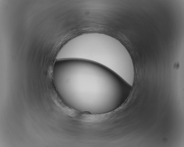 X0000110860045200906180955
