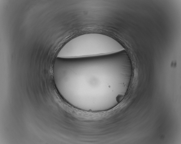 X0000110860048200906180955