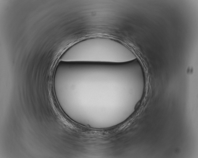 X0000110860049200906180955