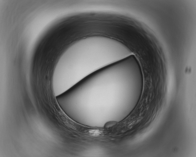 X0000110860050200906180955