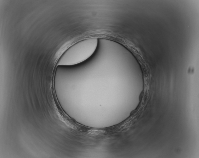 X0000110860051200906180955