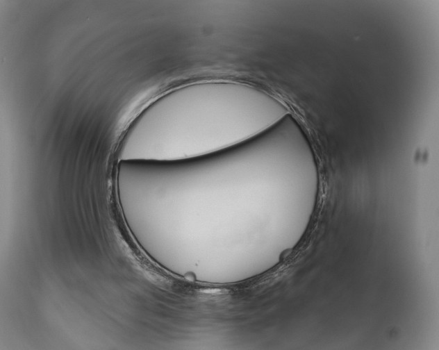 X0000110860053200906180955