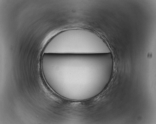 X0000110860054200906180955