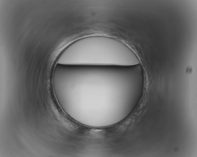 X0000110860055200906180955