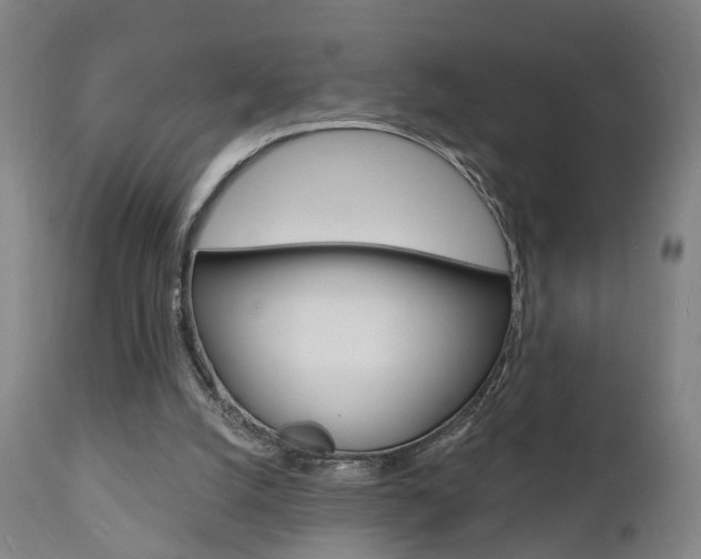 X0000110860056200906180955