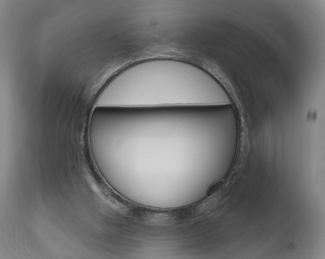 X0000110860058200906180955