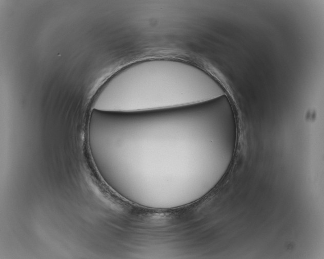 X0000110860059200906180955