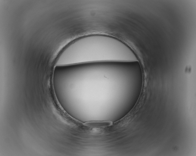 X0000110860060200906180955