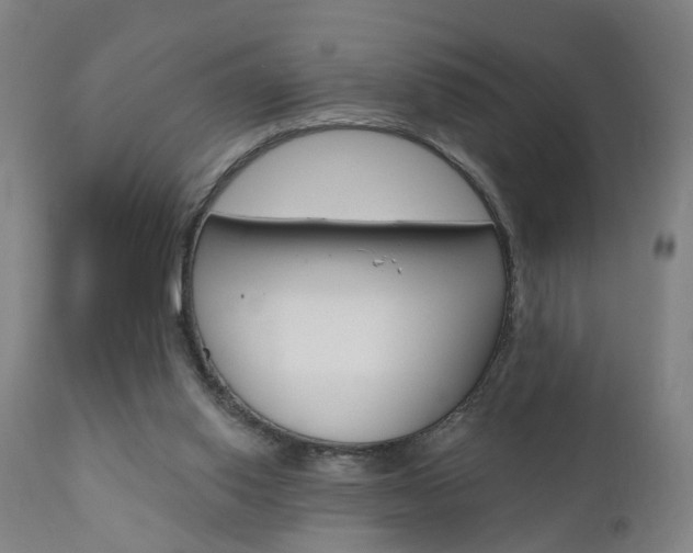 X0000110860062200906180955