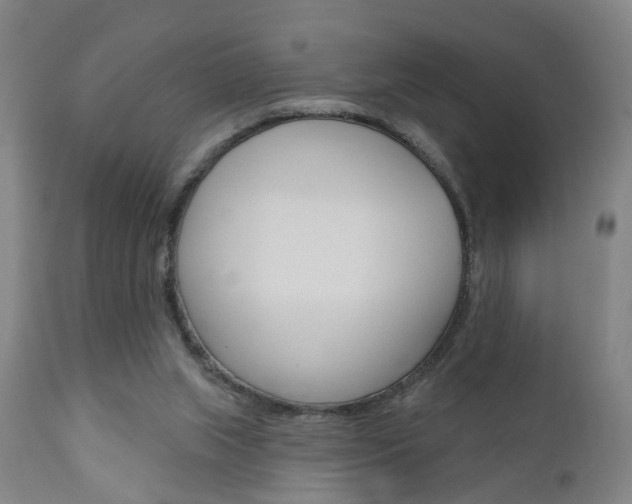 X0000110860063200906180955