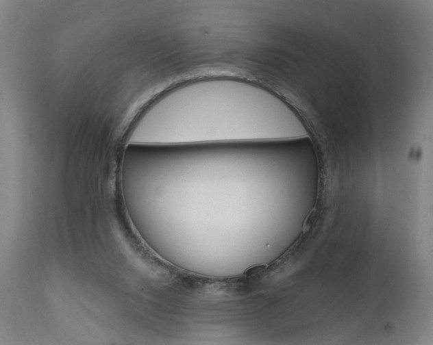 X0000110860064200906180955