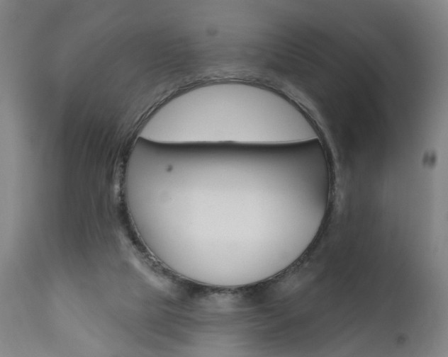 X0000110860065200906180955
