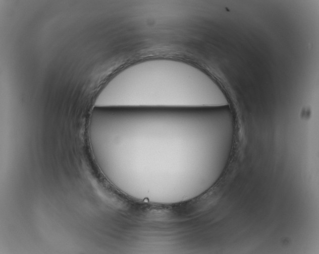X0000110860066200906180955