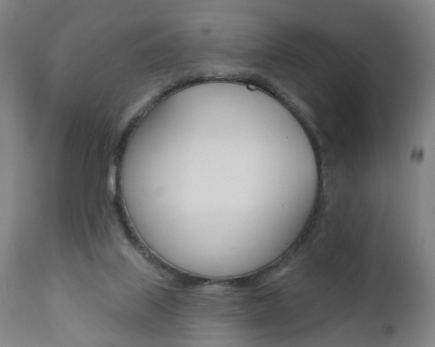 X0000110860067200906180955