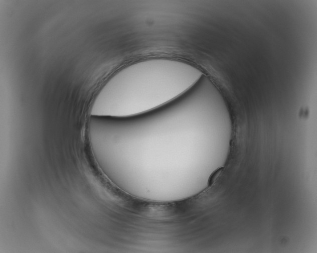 X0000110860070200906180955