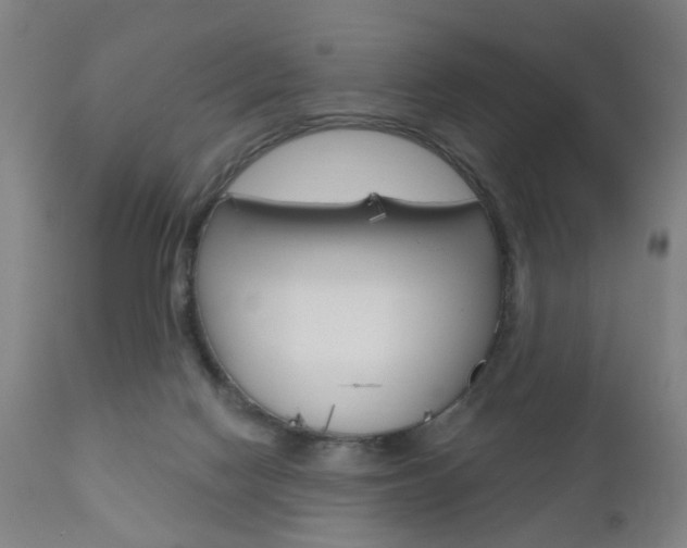 X0000110860074200906180955