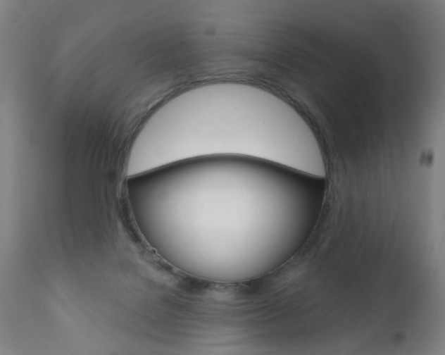 X0000110860076200906180955