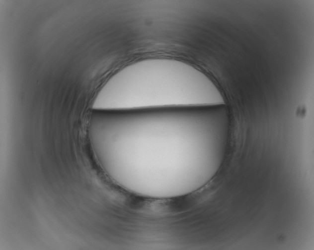 X0000110860078200906180955