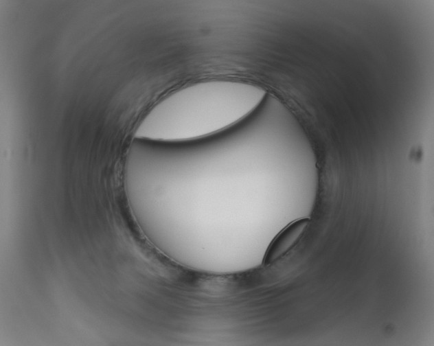 X0000110860079200906180955