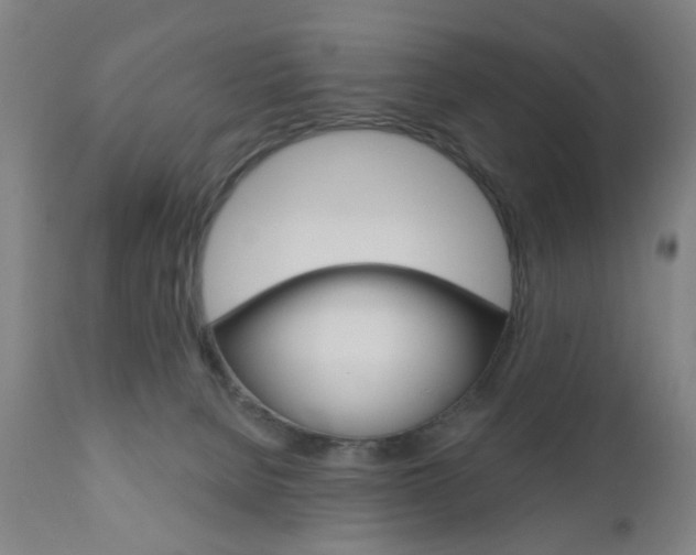 X0000110860080200906180955