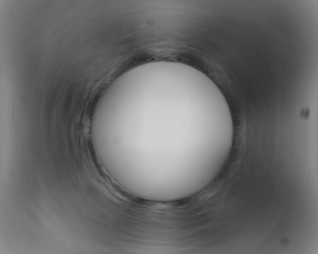 X0000110860081200906180955
