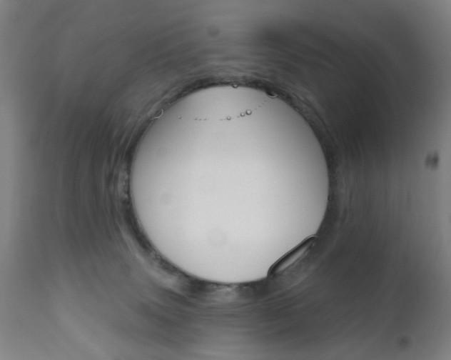 X0000110860083200906180955