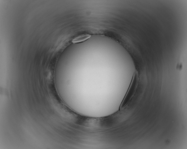 X0000110860084200906180955