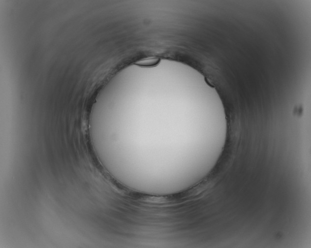 X0000110860085200906180955