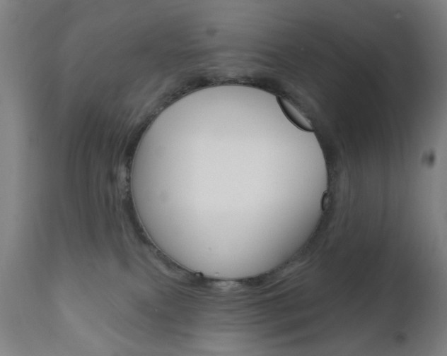 X0000110860087200906180955