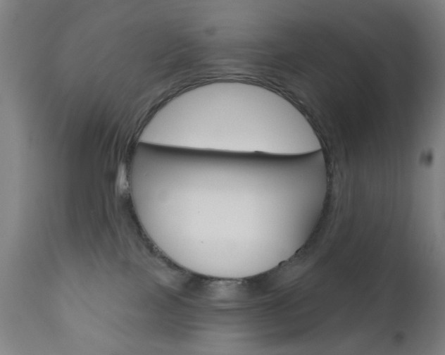 X0000110860089200906180955