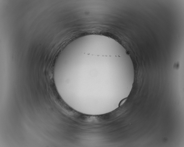 X0000110860091200906180955