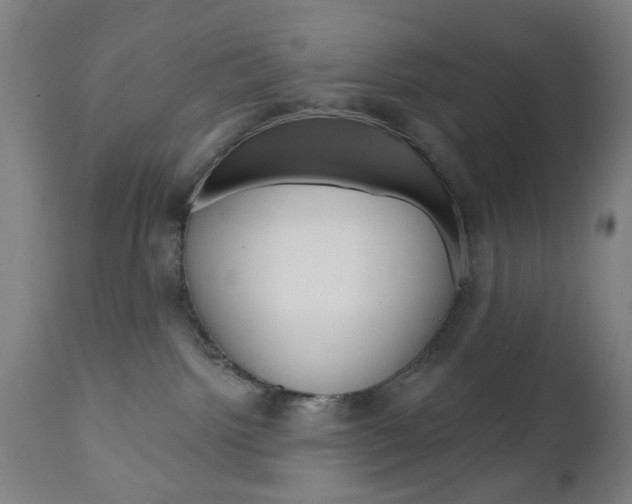 X0000110860092200906180955