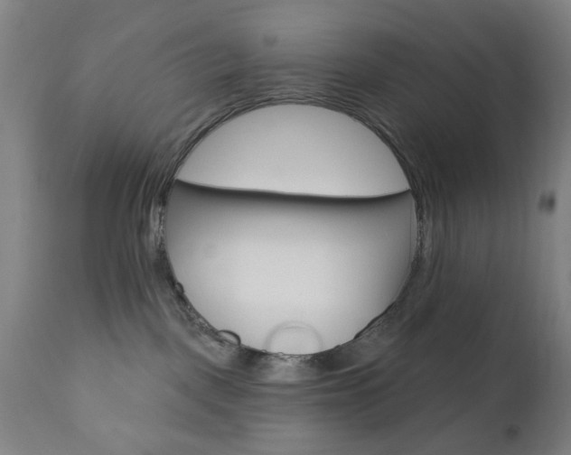 X0000110860093200906180955