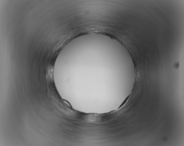 X0000110860094200906180955