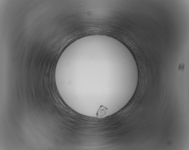 X0000110860096200906180955