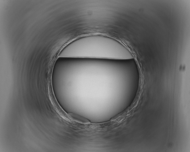 X0000110860097200906180955