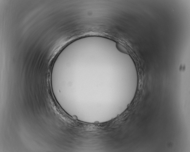 X0000110860098200906180955