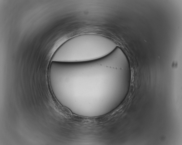 X0000110860099200906180955