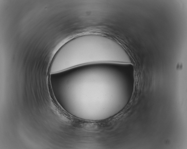 X0000110860100200906180955