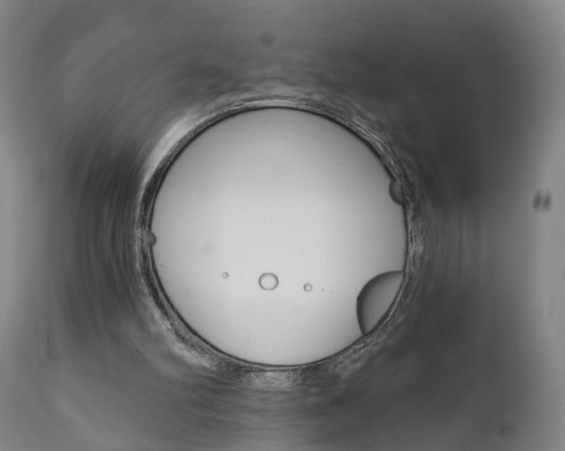 X0000110860102200906180955