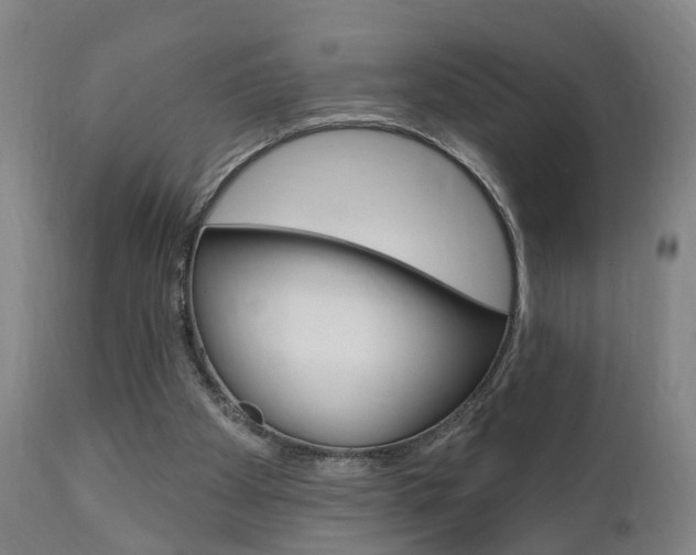 X0000110860105200906180955